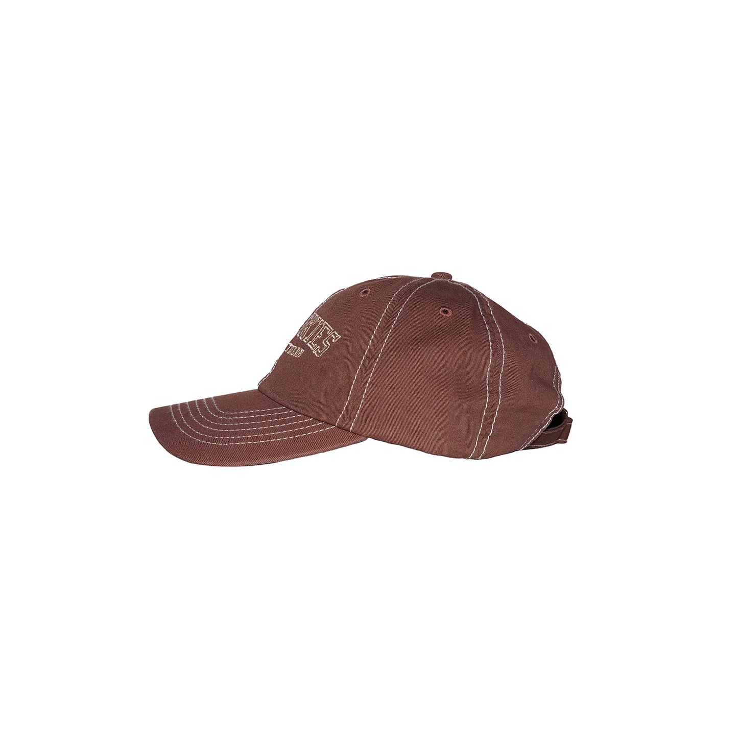 Grey Skies Curved Dad Hat (Brown)